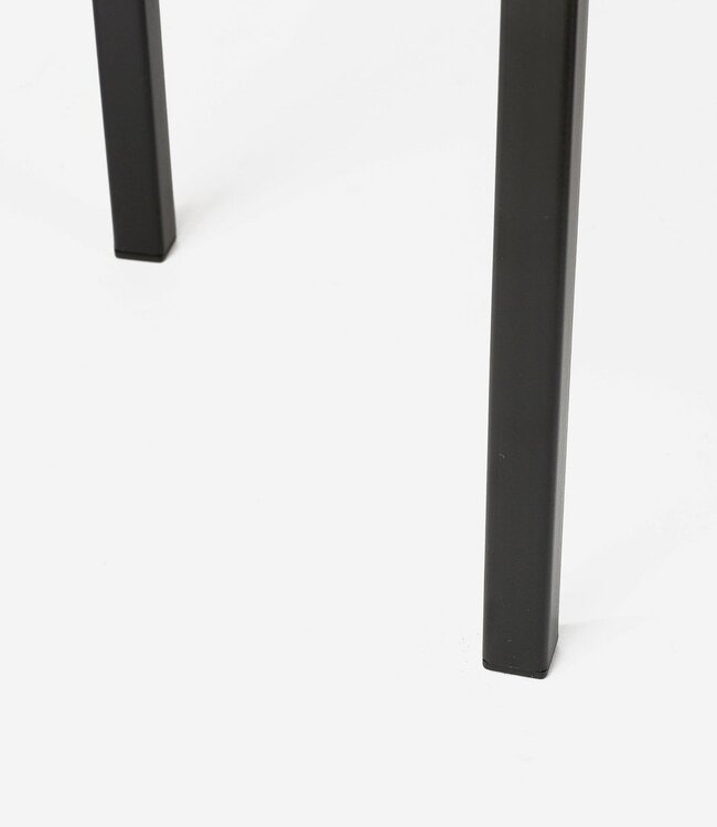 Plantenstandaard Zwart 1Ijzer