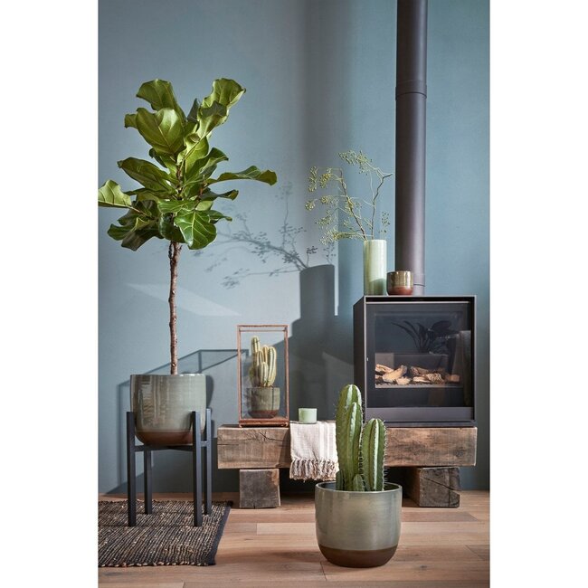 Plantenstandaard Zwart 1Ijzer