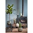 Mica Decorations Ascot Iron Plant Stand - Black - L34 × W34 × H49.5 cm