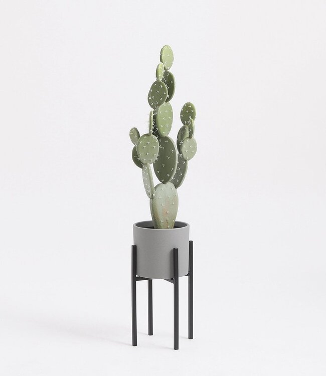 Plantenstandaard Zwart 1Ijzer