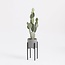 Mica Decorations Ascot Iron Plant Stand - Black - L20.5 × W20.5 × H35 cm