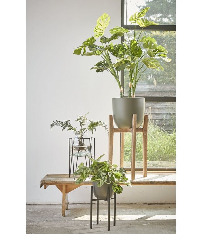 Plantenstandaard Zwart 1Ijzer