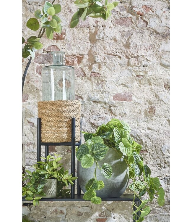 Plantenstandaard Zwart 1Ijzer