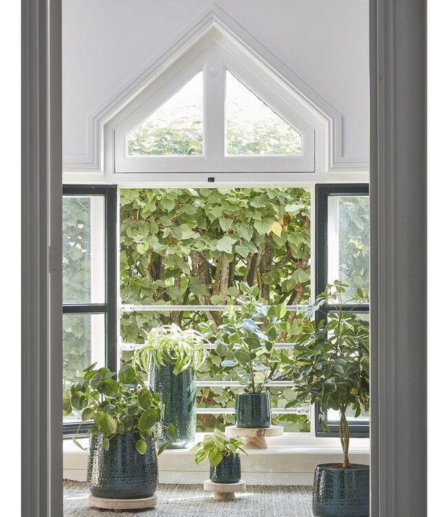 Plantenstandaard Lichtbruin 1Paulownia hout