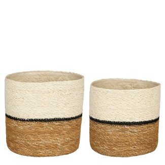 Mica Decorations Damian Seagrass Plant Baskets - White - Set of 2