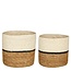 Mica Decorations Damian Seagrass Plant Baskets - White - Set of 2