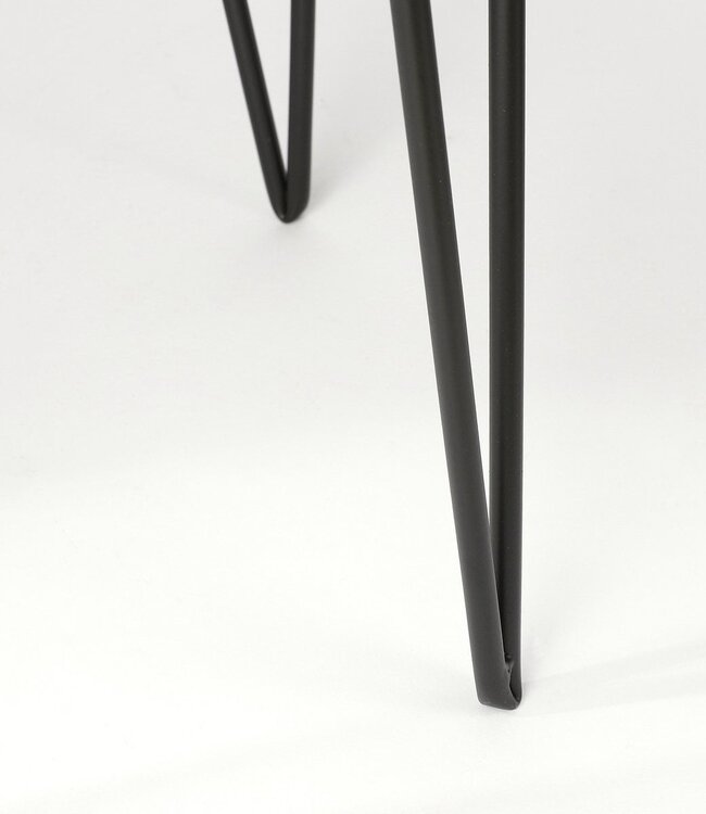 Plantenstandaard Zwart 1Ijzer