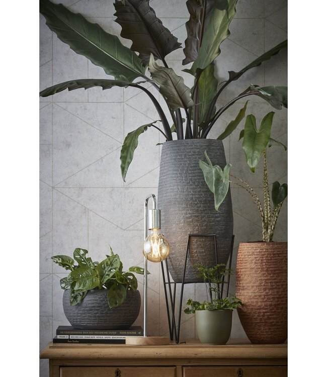 Plantenstandaard Zwart 1Ijzer