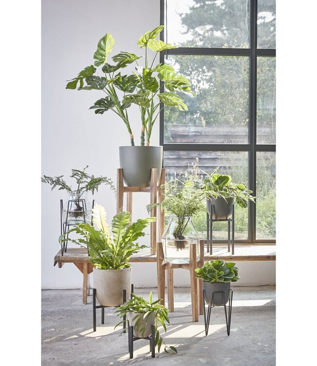 Plantenstandaard Zwart 1Ijzer