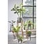Mica Decorations Blom Iron Plant Stand - Black