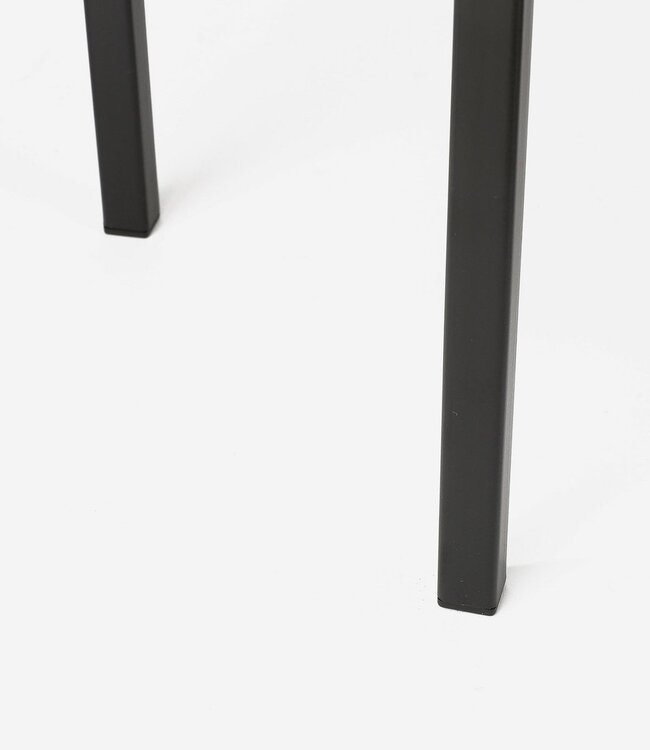 Plantenstandaard Zwart 1Ijzer