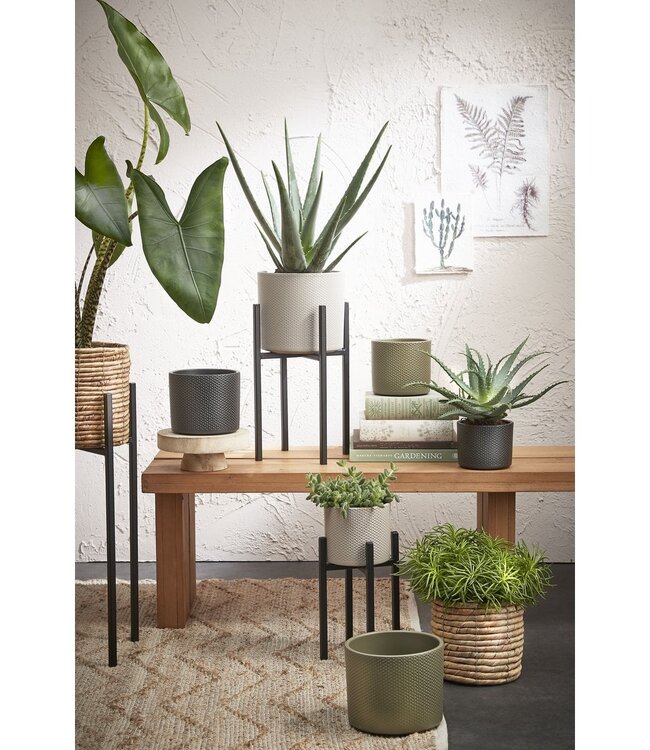 Plantenstandaard Zwart 1Ijzer