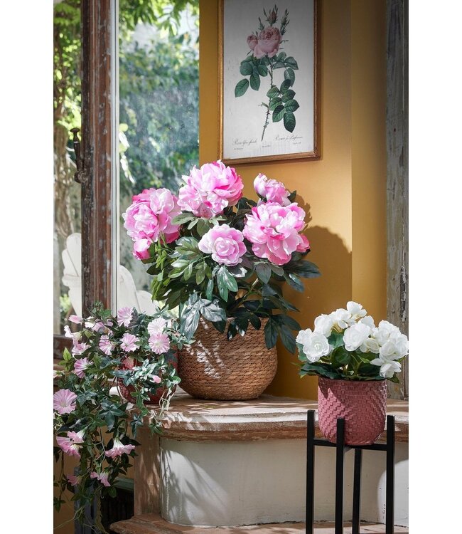 Plantenstandaard Zwart 1Ijzer