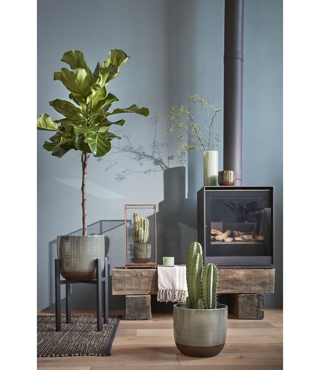 Plantenstandaard Zwart 1Ijzer