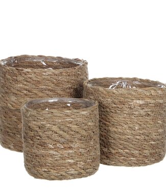 Plantenmand set Lichtbruin 3Zeegras