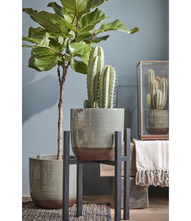 Plantenstandaard Zwart 1Ijzer