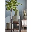 Mica Decorations Ascot Iron Plant Stand - Black - L41.5 × W41.5 × H50 cm