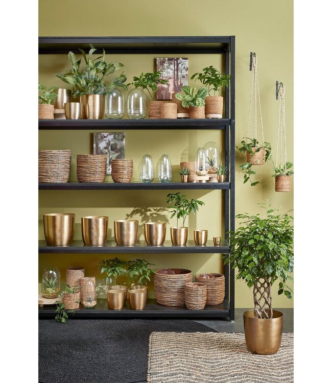 Plantenmand set Lichtbruin 2Zeegras