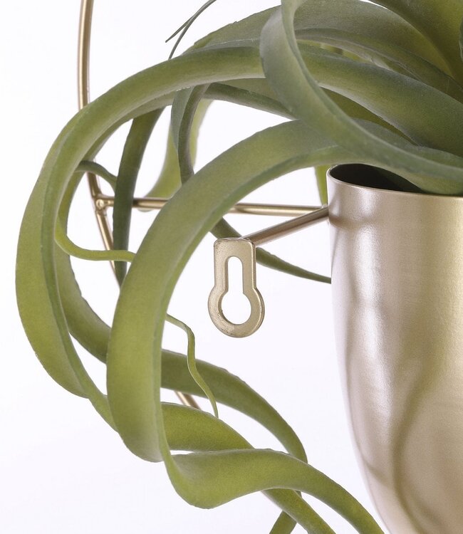 Bloempot binnen wandhanger Goud 1Ijzer