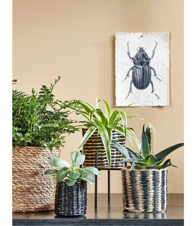 Plantenmand set Lichtbruin 3Zeegras