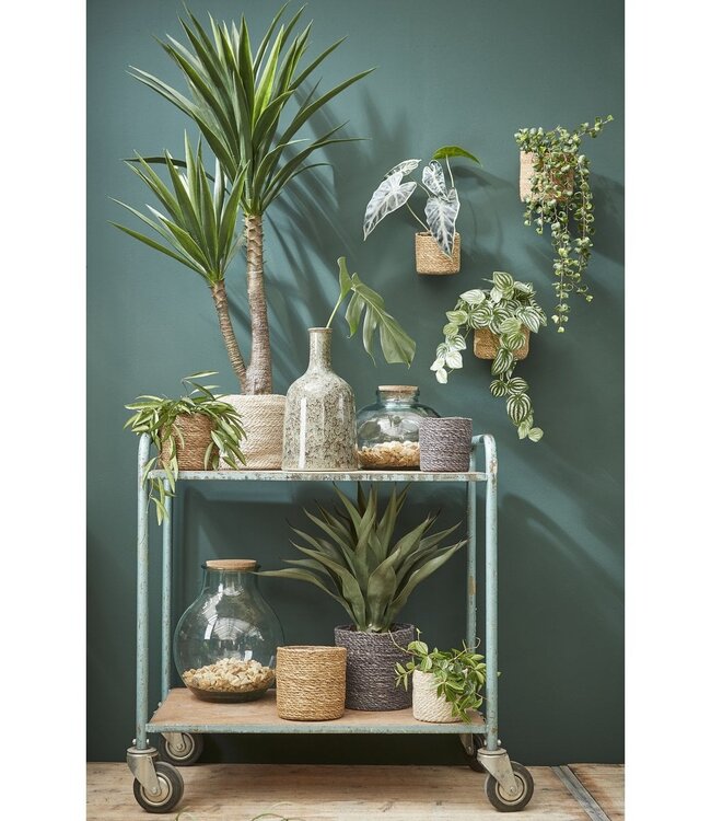 Plantenmand Crème 1Jute