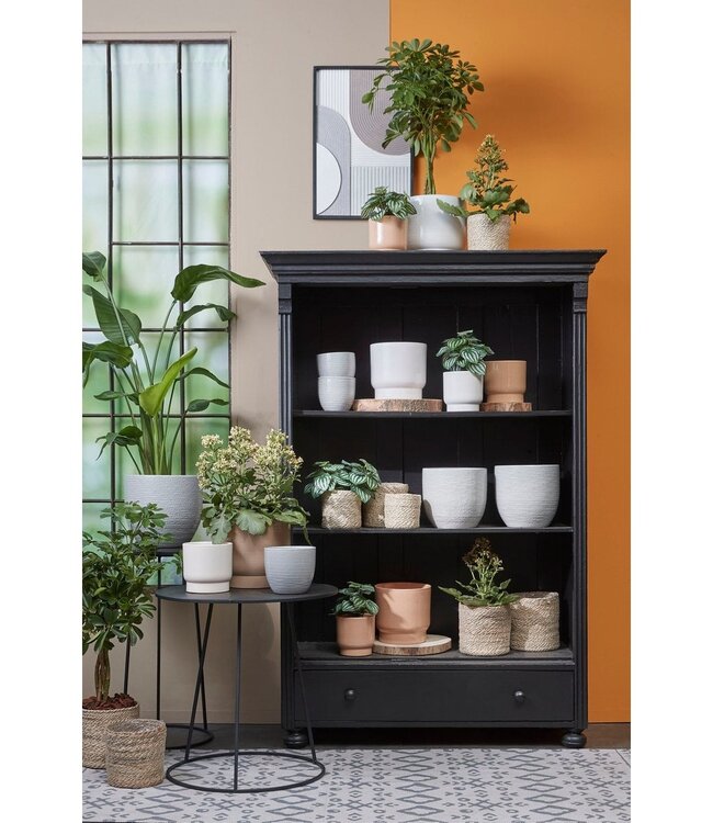 Plantenmand Crème 1Jute