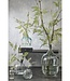 Decoratieve fles  1Glas