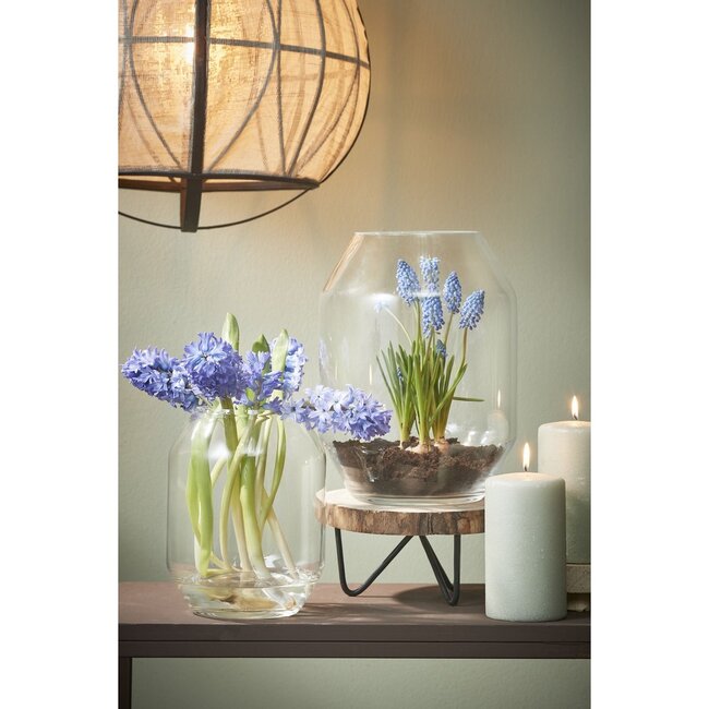Mica Decorations Dali Glass Vase - Clear - H33 × Ø25 cm