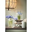 Mica Decorations Dali Vase aus Glas - Transparent - H33 × Ø25 cm
