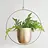 Artificial Hanging Plants