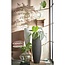 Mica Decorations Kyara Glass Bottle Vase - Clear
