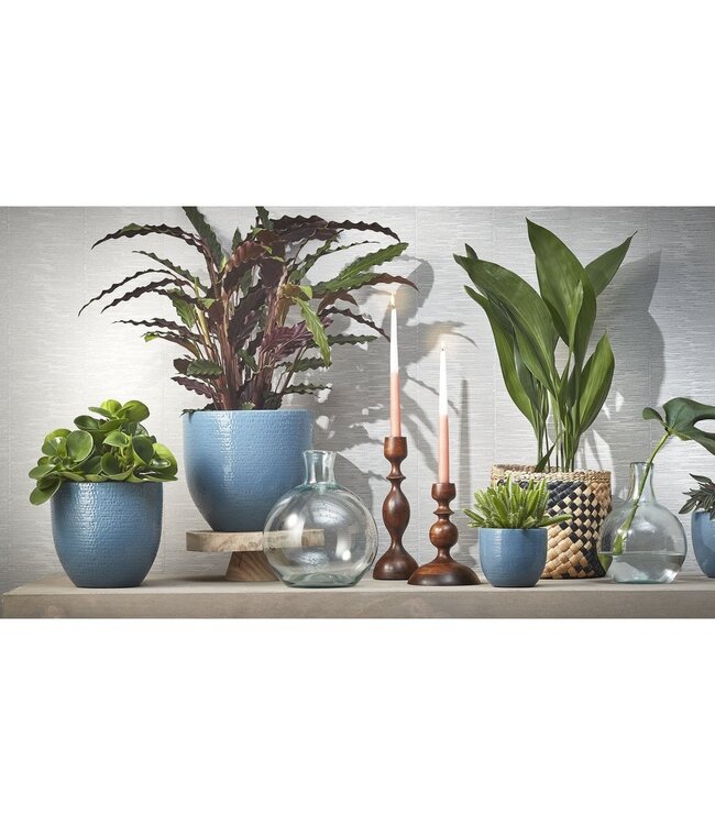 Decoratieve fles  1Glas