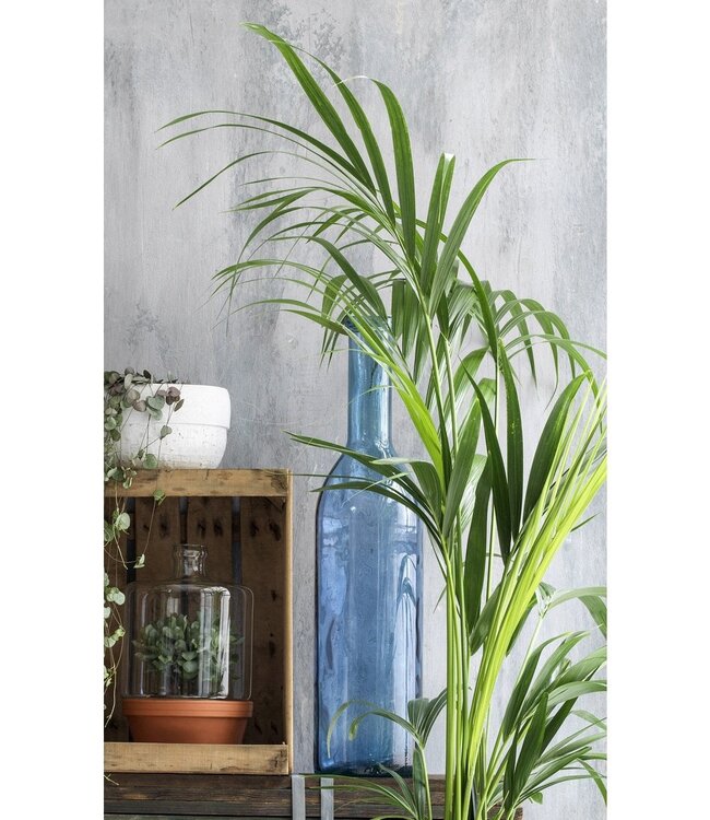 Decoratieve fles Lichtblauw 1Glas