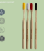 green-goose Bamboe Castorolie Tandenborstels - 4 Stuks - 100% Afbreekbaar