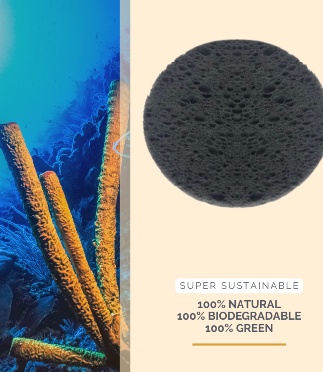 green-goose Bamboe Houtskool Cellulose Sponsjes - 20 Stuks