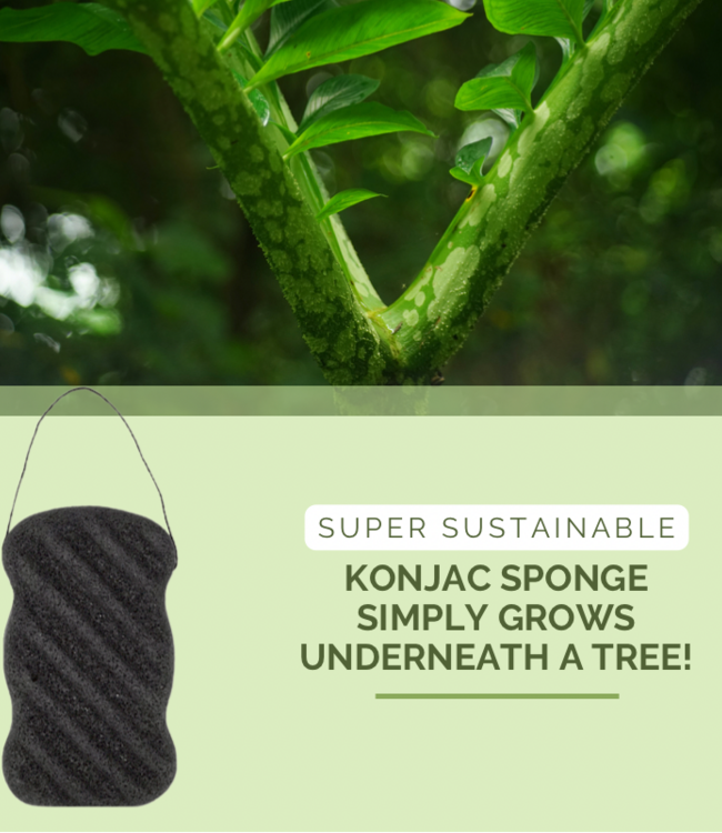 green-goose Houtskool Konjacsponsjes | 2 Stuks