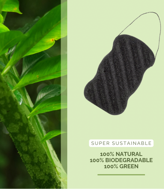 green-goose Houtskool Konjacsponsjes | 2 Stuks