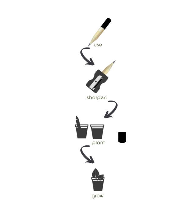 green-goose® Seedz Bloeipotlood in Plantbare Verpakking