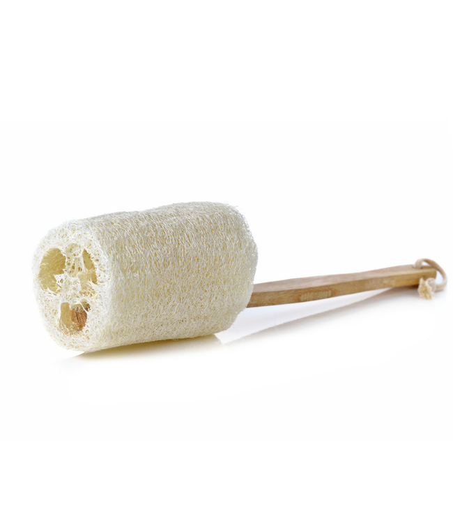 green-goose Loofah Rugspons