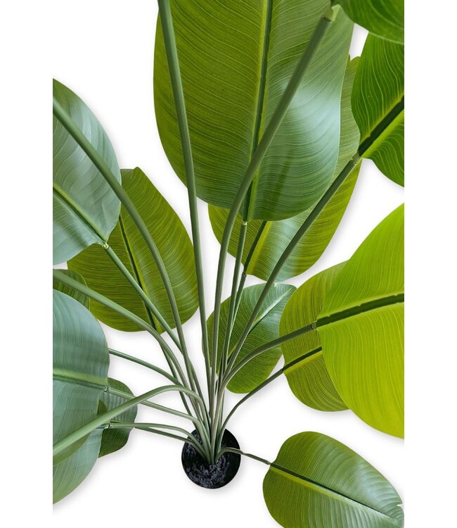 Kunst Bananenplant 180cm