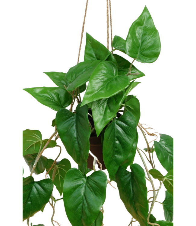 Anthurium Kunst Hangplant 95cm