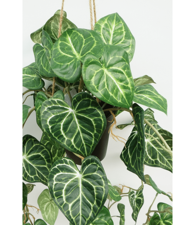 Viola Kunst Hangplant 95cm