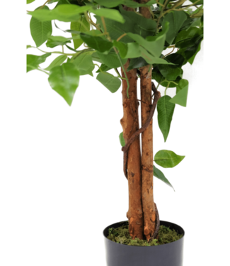 PrettyPlants Ficus Kunstboom 90cm