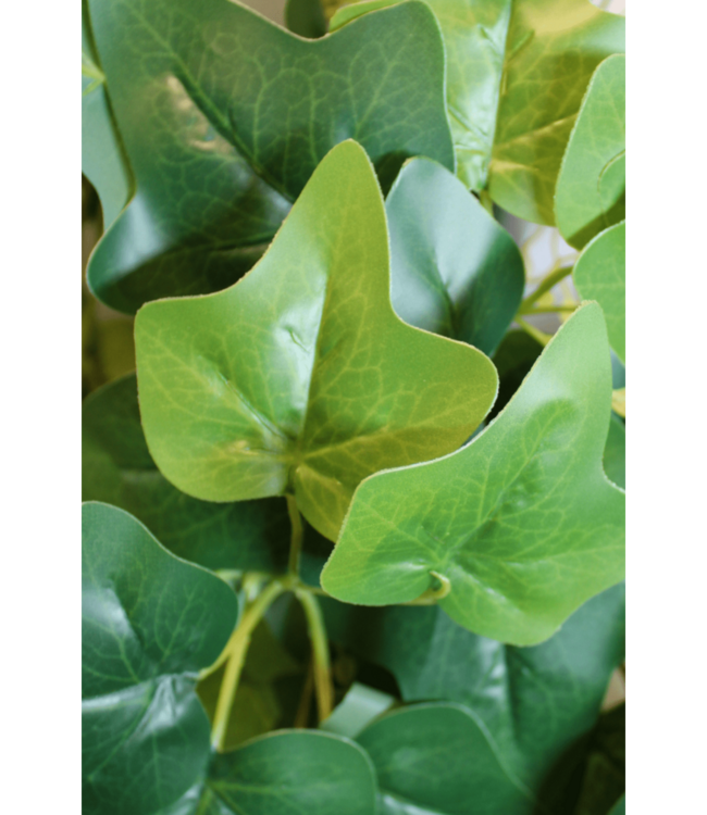 Hedera Kunst Hangplant 110cm