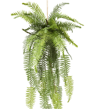 PrettyPlants Varen Kunst Hangplant 110cm
