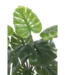 Monstera Kunstplant 80cm