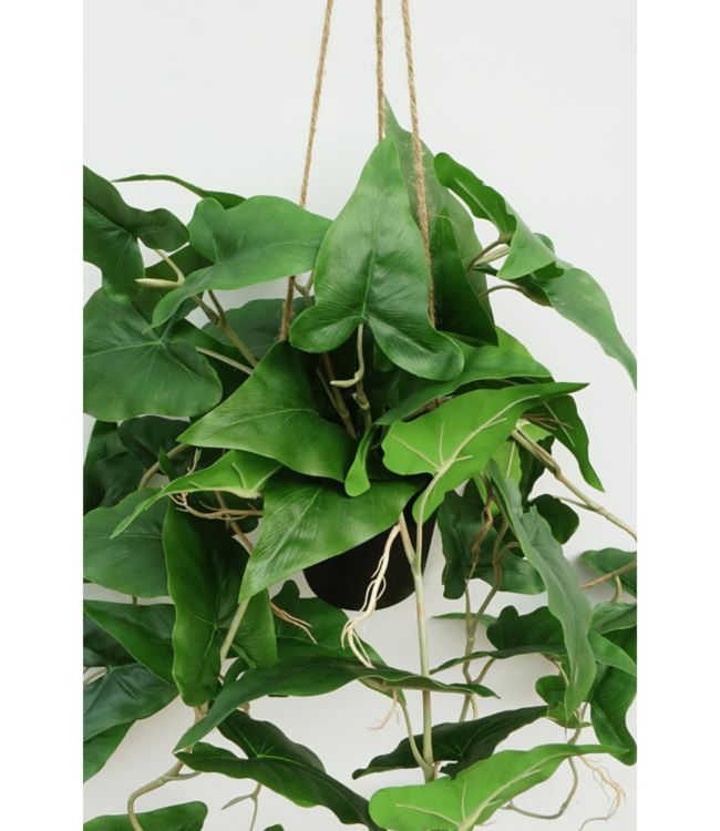 Typhonium Kunst Hangplant 95cm