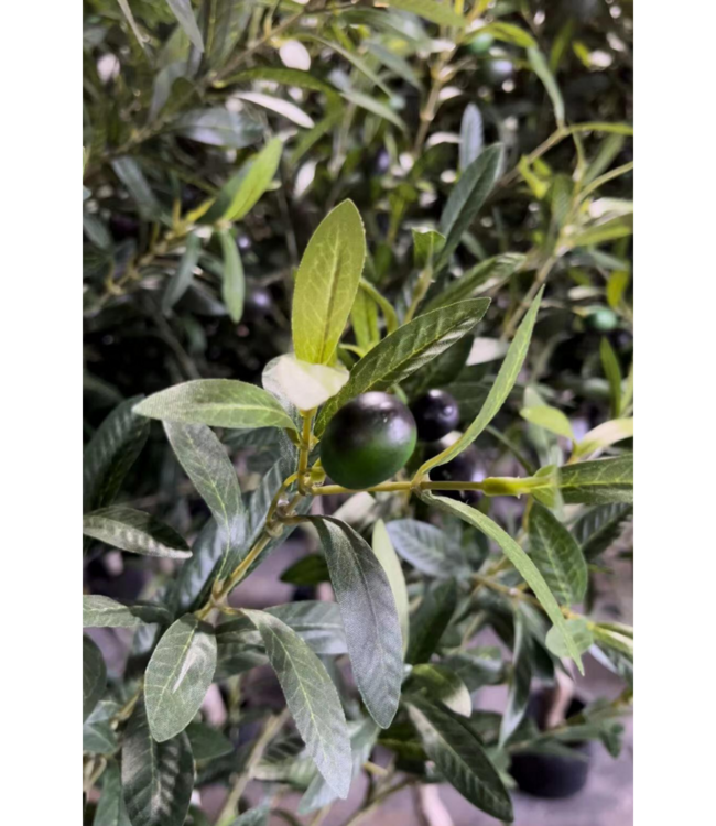 Kunst Olijfboom 120cm