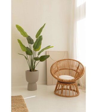 PrettyPlants Strelitzia Kunstplant 160cm