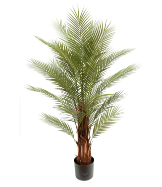 PrettyPlants Kunstpalm 150cm